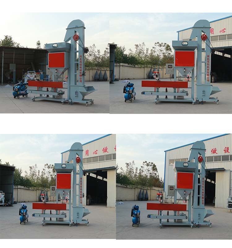 Seed Bagger Machine with Conveyor and Sewing Machine