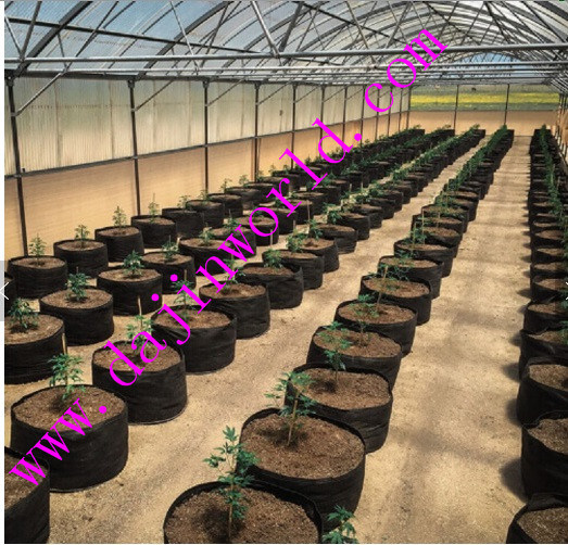 Nonwoven Geotextile Plant Grow Bags Geo Bags