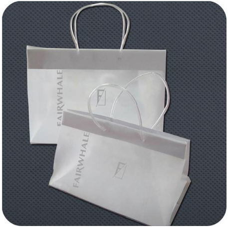 Customized Plastic Shopping Bag for Gifts or Luxuries