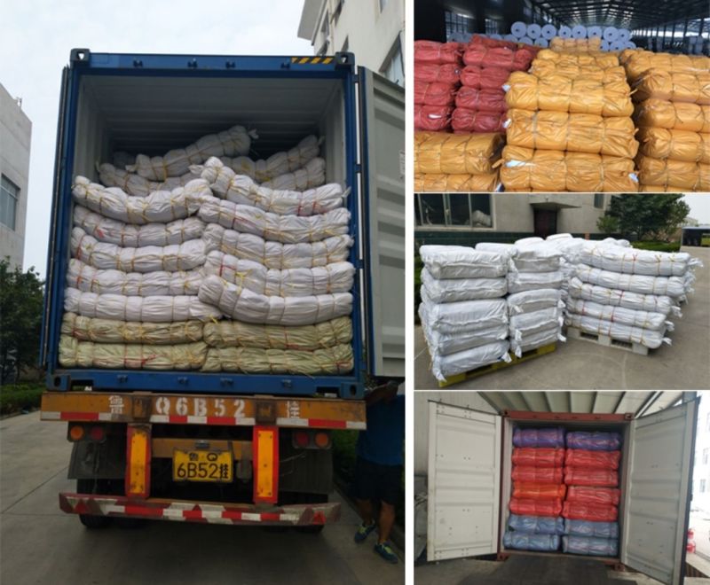 Cement Bags 50kg/PP Woven Bag/PP Plastic Bags/Rice Package Bag