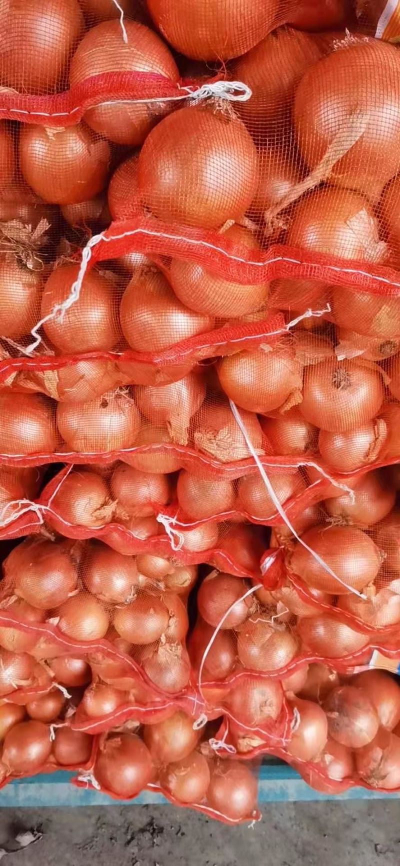 Red Onion,Yellow Onion,Fresh Read Onion,Fresh Yellow Onion,China Fresh Onion,Red Onion,Yellow Onion,Top Quality,Cheap Price,2021 New Crop,10kg,20kg/Carton & Bag