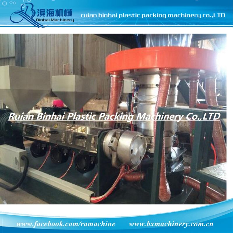 2 Layer Film Making Machine Set Extrusion for Courier Bags