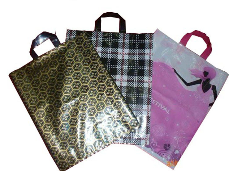 Stand up Loop Handle Bags for Promotional (FLL-8313)