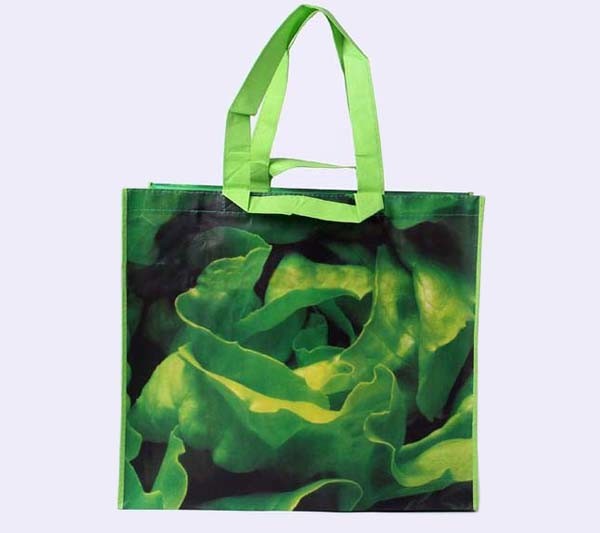 PP Non Woven Shopping Bags, Non-Woven Shopping Gift Tote Bags