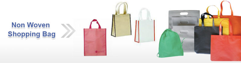 Fast Delivery Gift Shopping Bag Recycable Clothing Non Woven Handbags