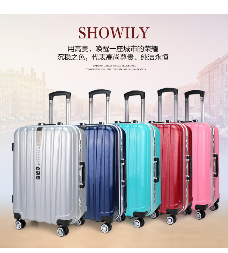 Hardshell Trolley Luggage Fashionable Travel Luggage PC Scratch Luggage Bag