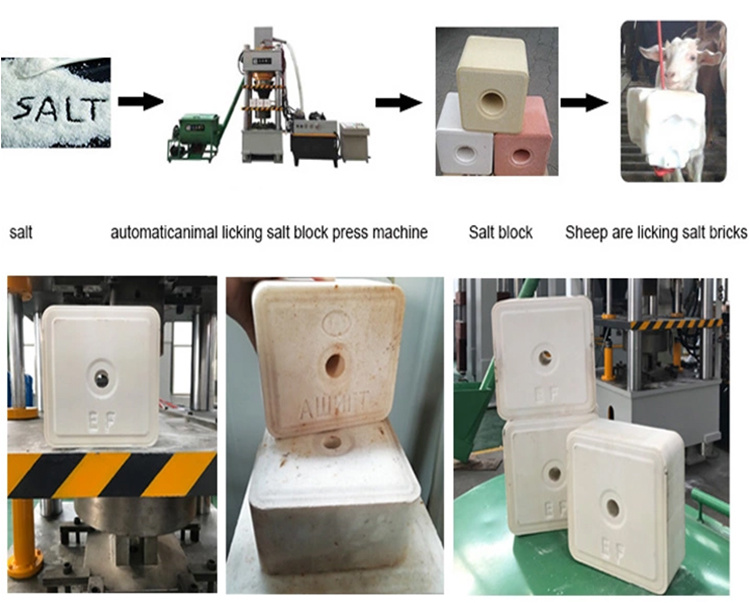 Hydraulic Pressing Machine Animal Salt Lick Block Making Machine