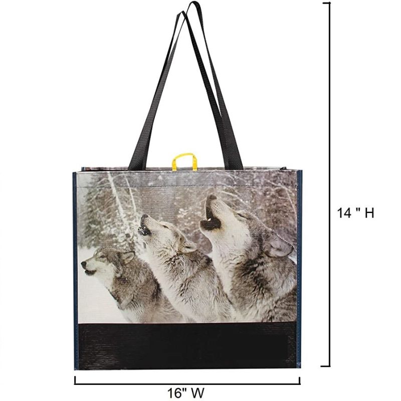 Recycled Pet Bag Shopping Bag Factory Directly Selling Fashion RPET Bag