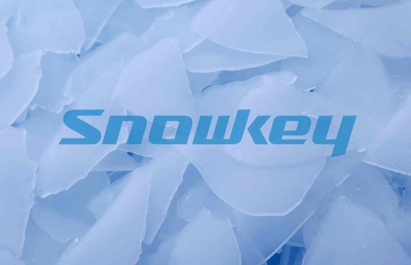 Snowkey Ammonia Water Cooled Flake Ice Maker Machine
