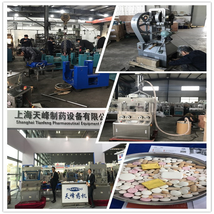 Zpw-10 High-Speed Rotary Tablet Press Machine with Forced Feeder