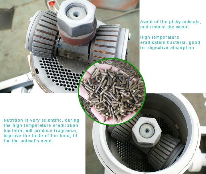 22kw Small Feed Pellet Making Processing Machine for Animals