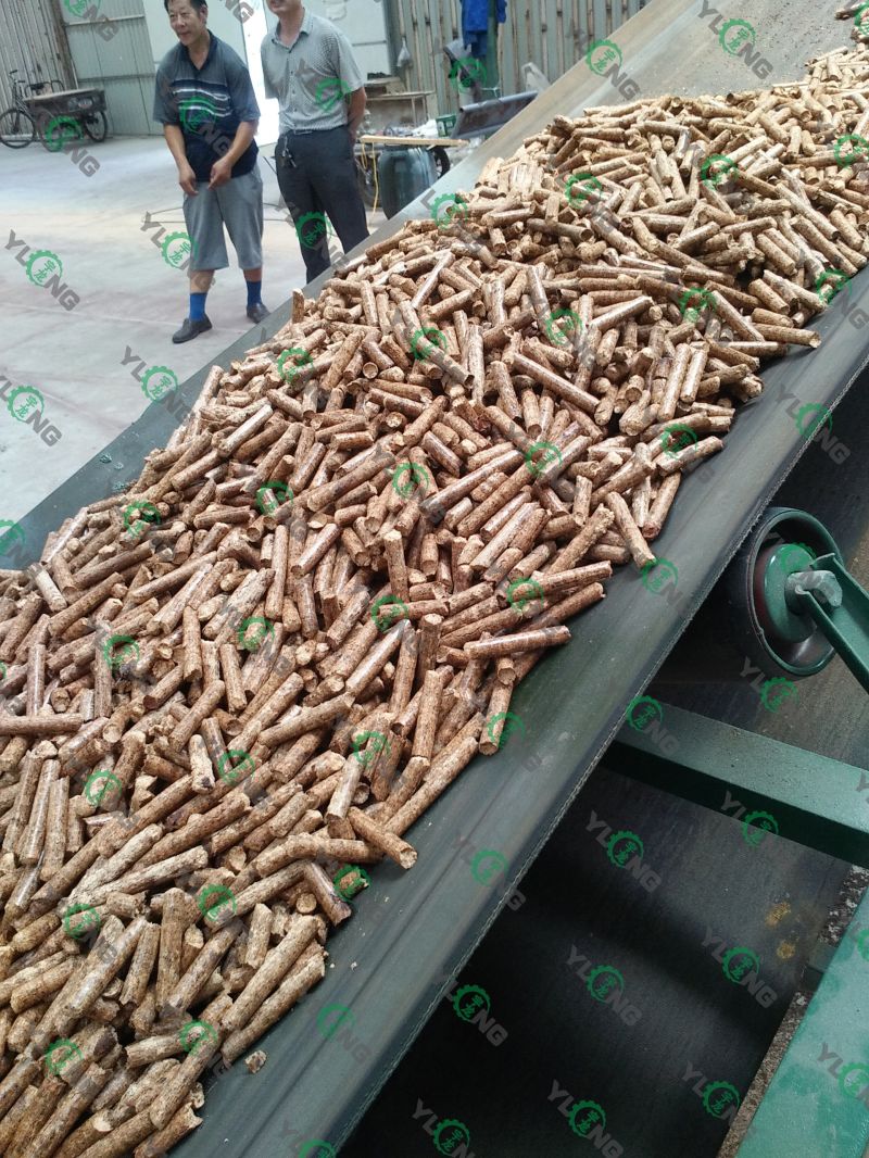 Biomass Fuel Hemp 6mm Machine to Make Wood Pellets
