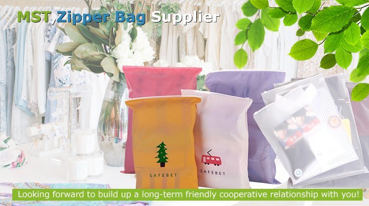 Stand up Pouch Plastic Zip Lock Packaging PVC Bag Zipper for Garment Clothing