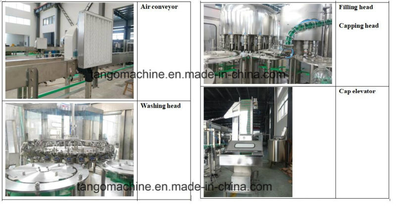 Automatic Bottled Water Liquid Rinsing Filling Sealing Packaging Bottling Plant