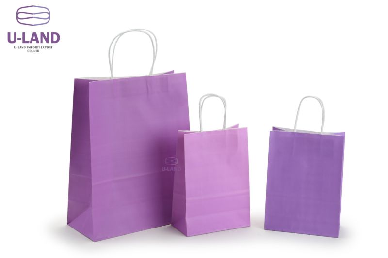 Holiday Kraft Bag Shopping Bags Party Paper Bags with Handle for Christmas Decorations