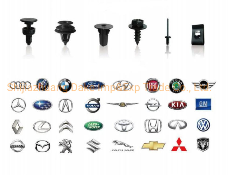 China Manufacture High Quality Auto Clips and Plastic Fasteners