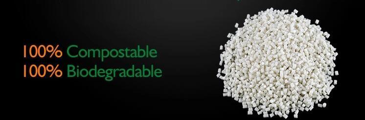 PLA Plastic Granule Pbat Resin Biodegradable Plastic Pellets for Bio Bags