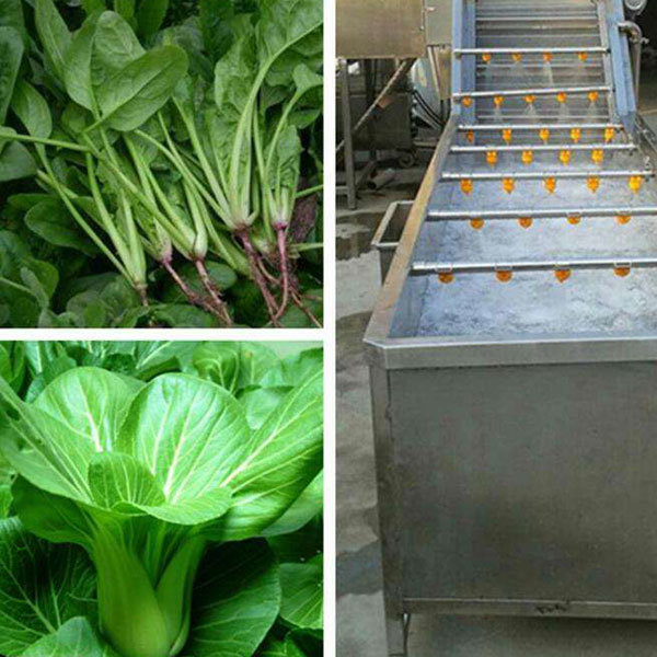 Vegetable Air Bubble Washer Cabbage Cleaning Machine