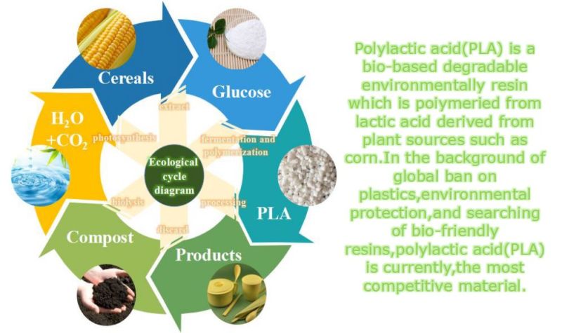 Biodegradable Compostable Plastic Raw Material Granules Eco-Friendly PLA Granules PLA Resins