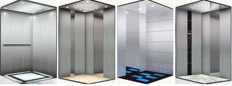 Standard Customized APSL Residential Building Passenger Elevator Lift Price