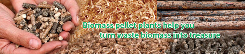 Agriculture Biomass Waste Homemade Straw Rice Bran Wood Pellet Making Machine