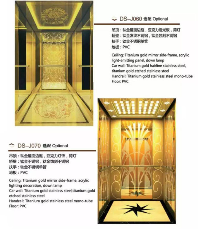 High Quality Passenger Home Elevator with Machine Room/Roomless Lift