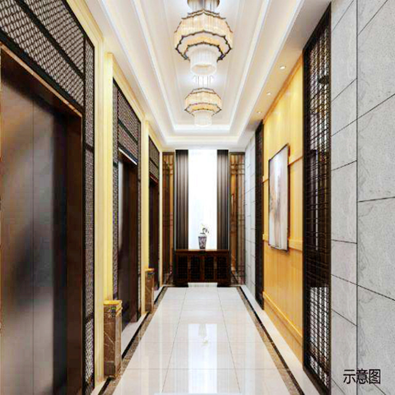400/450kg 5 passenger elevator lift small home passenger hospital hotel elevator etching mirror hairline stainless steel golden sightseeing elevator price