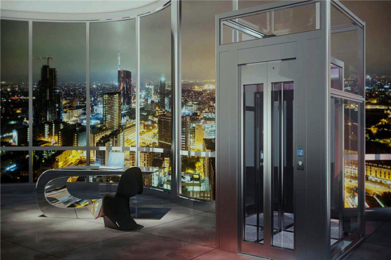 Hot Selling Lift Villa Elevator With Glass Steel Shaft