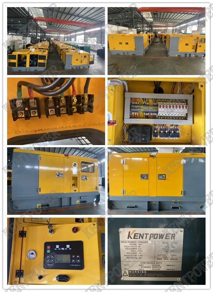 Small Power 18kw 20kw Neimaer Diesel Generator for Home Use