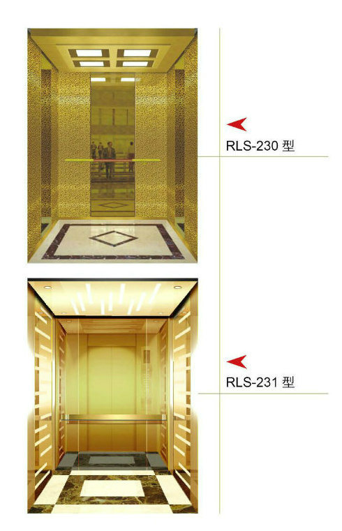 Gearless Small Home Lift Passenger Elevator