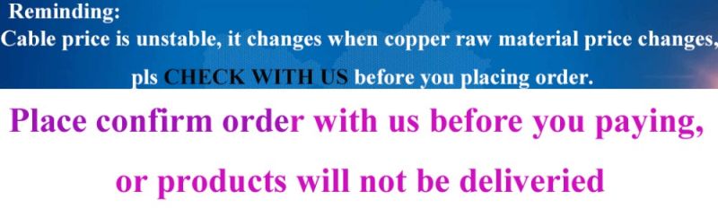 Gxl XLPE Copper Automotive Cable Car Cable Automotive Wires and Cables