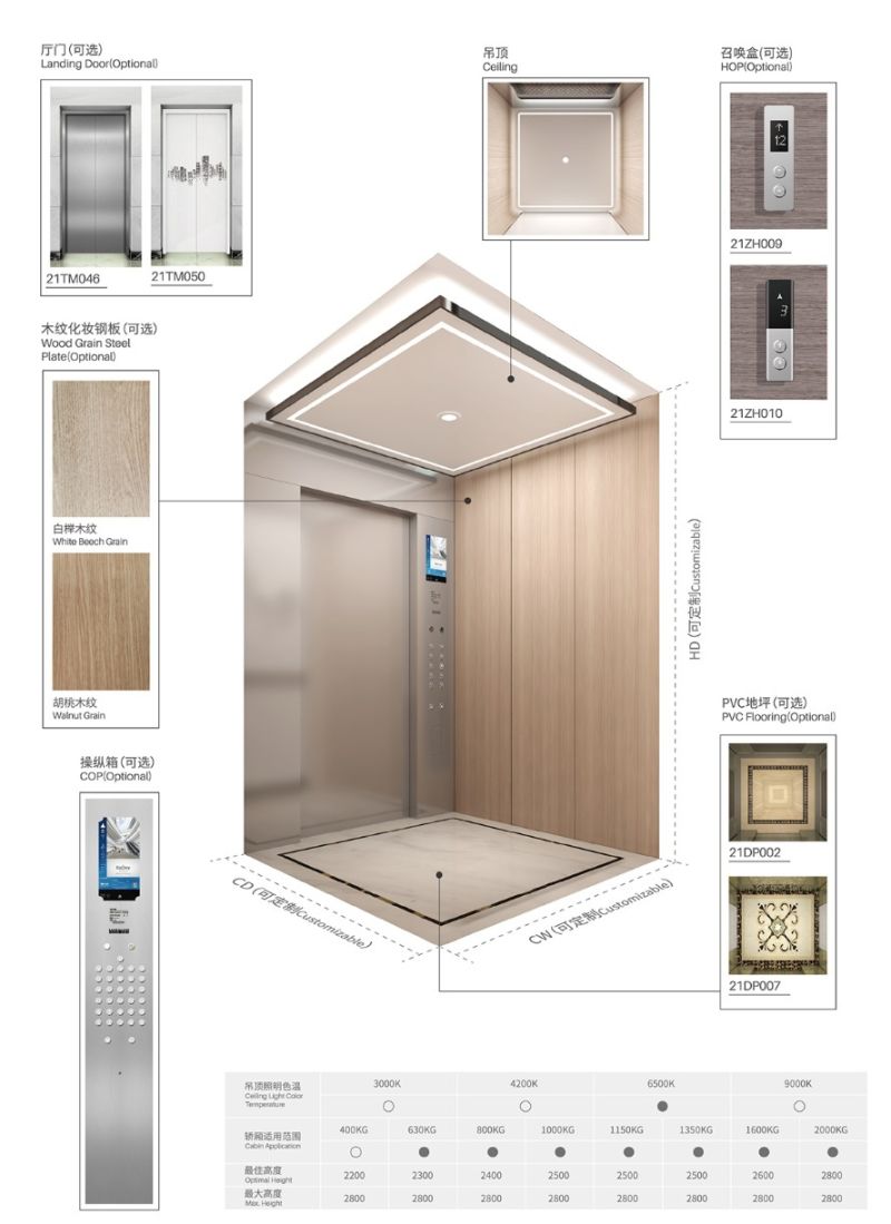 Syney Safe 800kg 10 Persons Villa Passenger Lift with Modern Style
