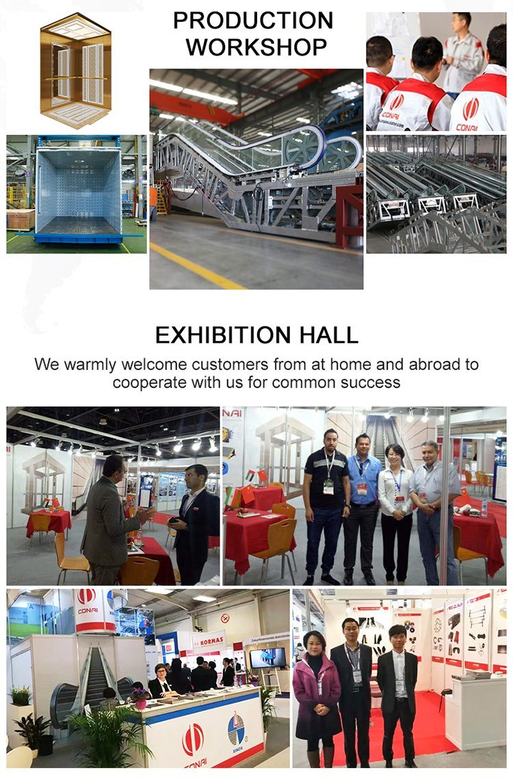 Conai Passenger Elevator Freight Elevator Hydraulic Elevator Lift in China