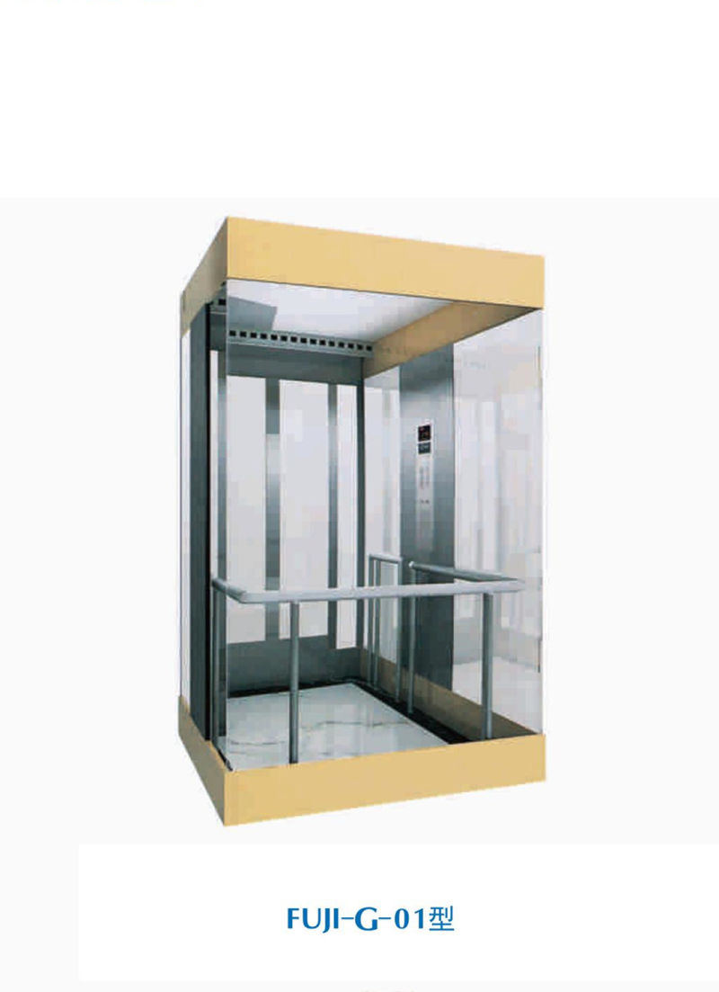 Asia FUJI Home Elevator Hospital Lift Passenger Elevator for Sale