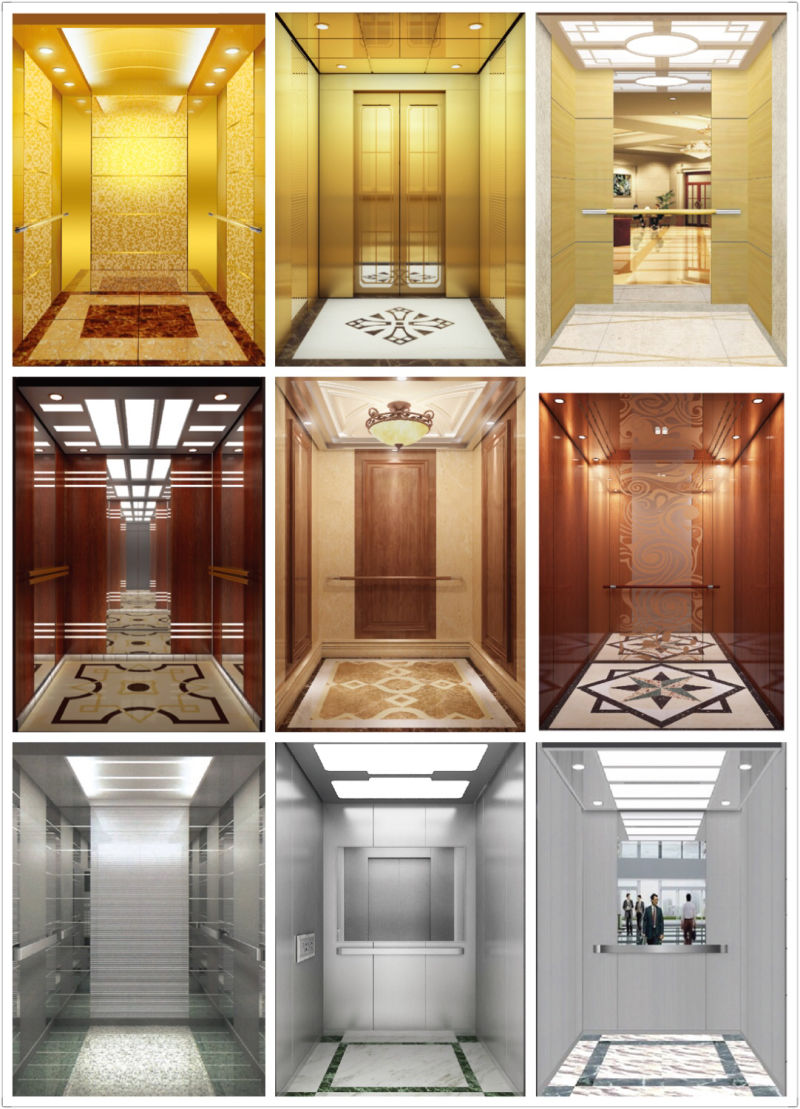 FUJI 1000kg 13 Persons 2.0m/S Luxury Decoration Villa Elevator Residential Panoramic Elevator Passenger Elevator Home Elevator with Monarch Vvvf Control