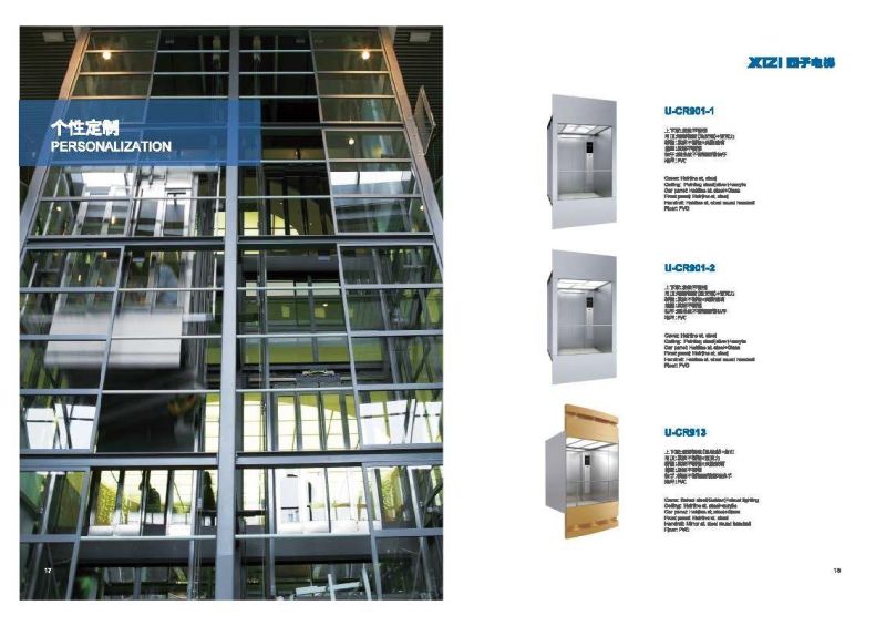 Passenger Elevator Observation Home Lift of Gcs8000 From Xizi
