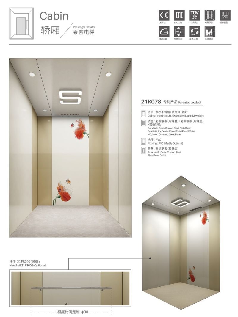 Syney Safe Runnnig Passengers Never Trapped Ard Residential Elevator