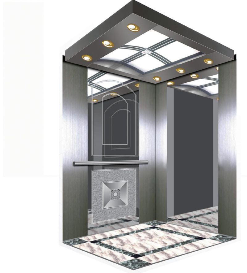 Asia FUJI Good Quality High Speed Passenger Elevator From China