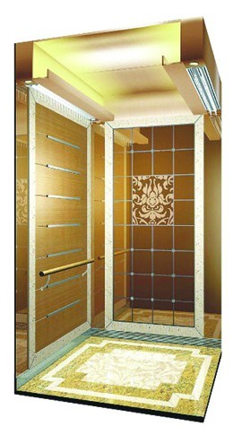 Small Home Lift Elevator Residential Elevator Lift