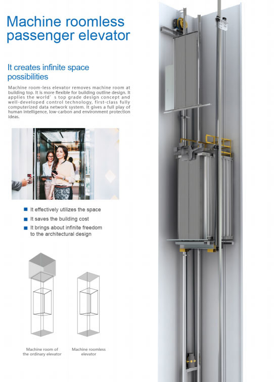 Home Elevator Lift Price/Residential Elevator /Villa Elevator for Private House
