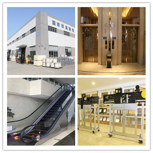 Stainless Steel Passenger Elevator Home Lift with Good Quality