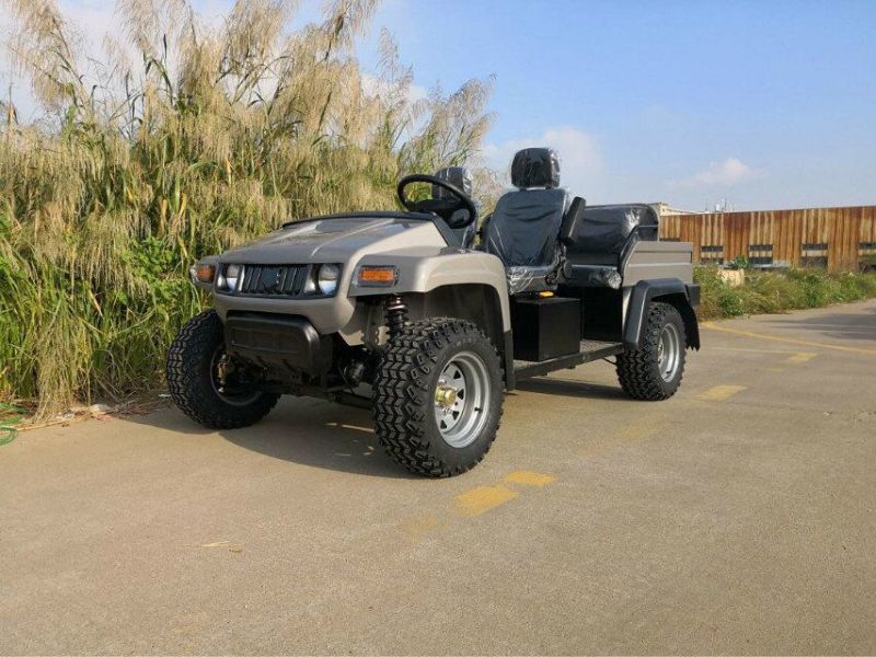 Mountain off-Road Vehicles Chinese Electric Cheap UTV Vehicles