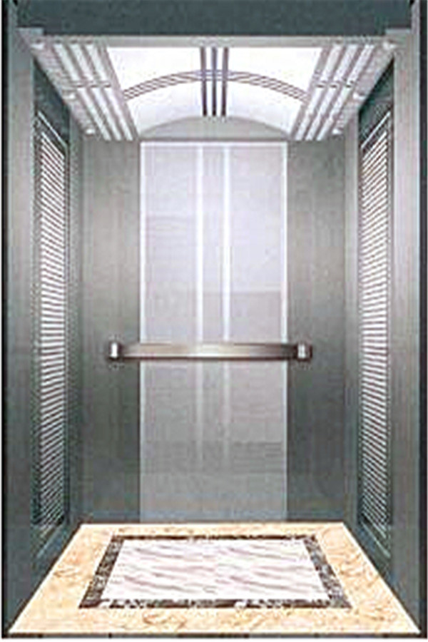 Warranty Less Maintenance Luxury Villa Elevator Lift APSL-RLS286