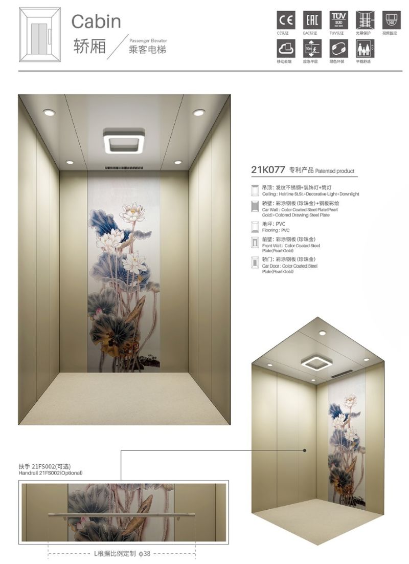 Simple Stainless Steel Villa Passenger Lift with Eac Certificate