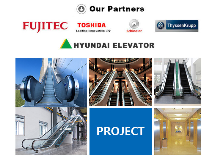 2019 Popular Lift China Residential Elevator Manufacturer