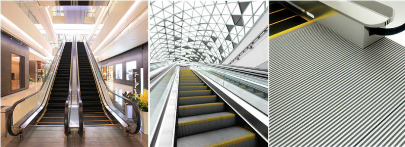 Indoor and Outdoor Commercial Passenger Escalator