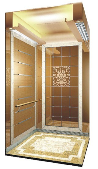 CE Approved Residential Elevator Home Elevator Home Lift