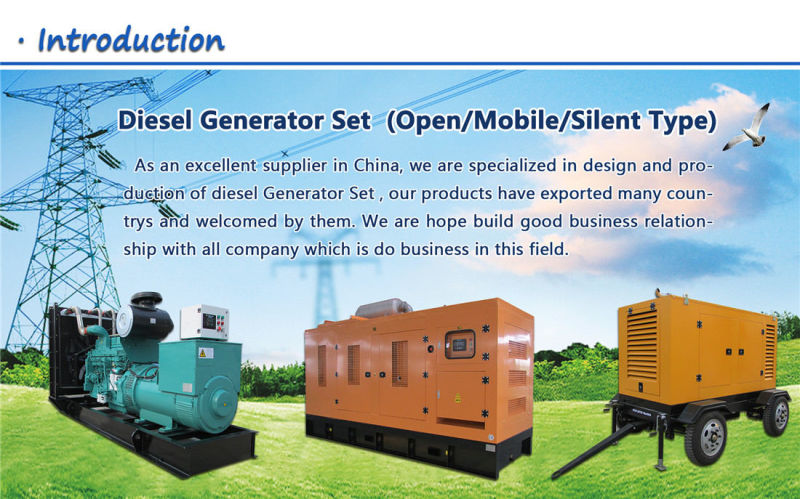 Small Portable Diesel Generator for Home Use