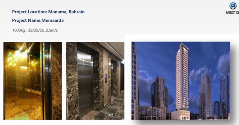 Matiz Residential 450/630/800kg/1000kg Luxury Passenger Elevator Lift