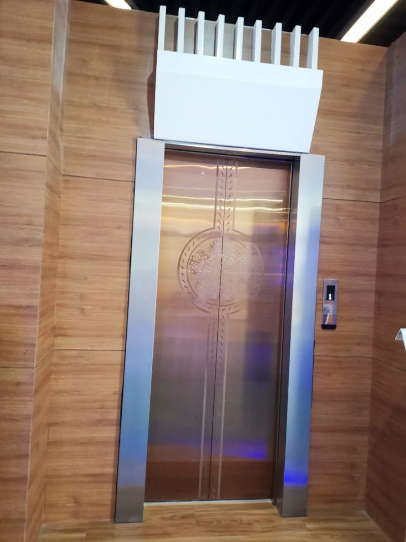 Asia FUJI Center Opening Standard Home Passenger Elevator Lift